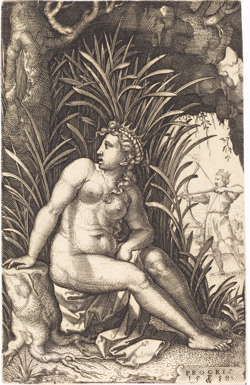 Procris بواسطة جورج بينز