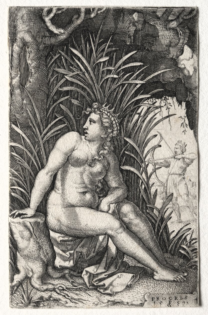 Procris بواسطة جورج بينز