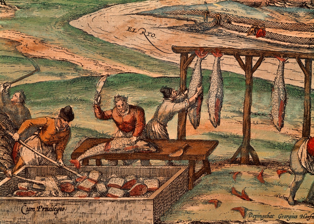 معالجة التونة بواسطة فرانز هوغنبرغ (حوالي 1540-حوالي 1590) ، مشهد من Civitates Orbis Terrarum بواسطة Georg Braun (1541-1622) و Franz Hogenberg (حوالي 1540-حوالي 1590) بواسطة فرانس