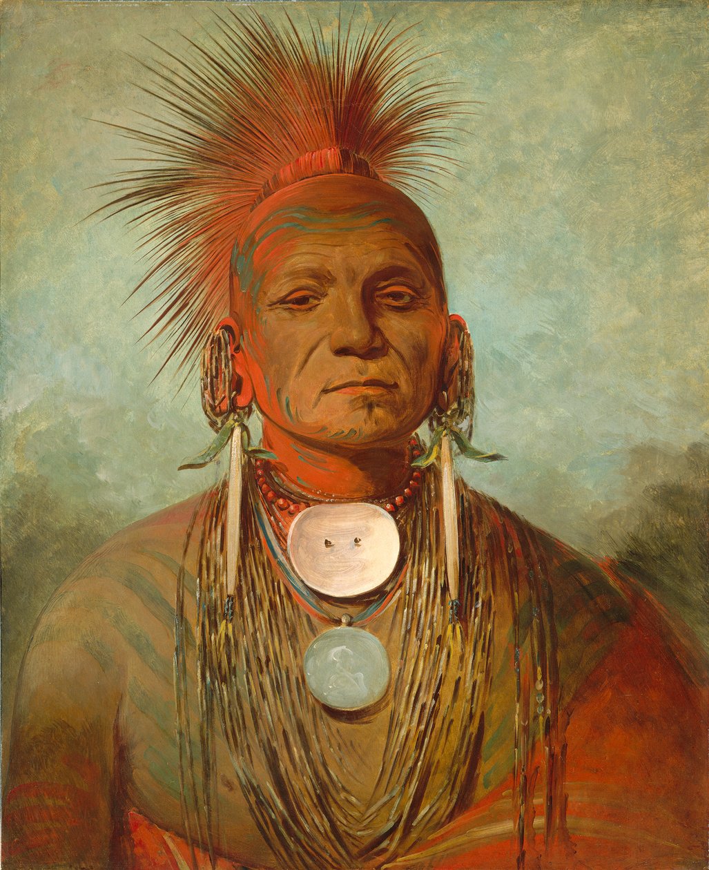 انظر non-ty-a ، وهو رجل طب في ولاية آيوا ، 1844-1845 بواسطة جورج كاتلين