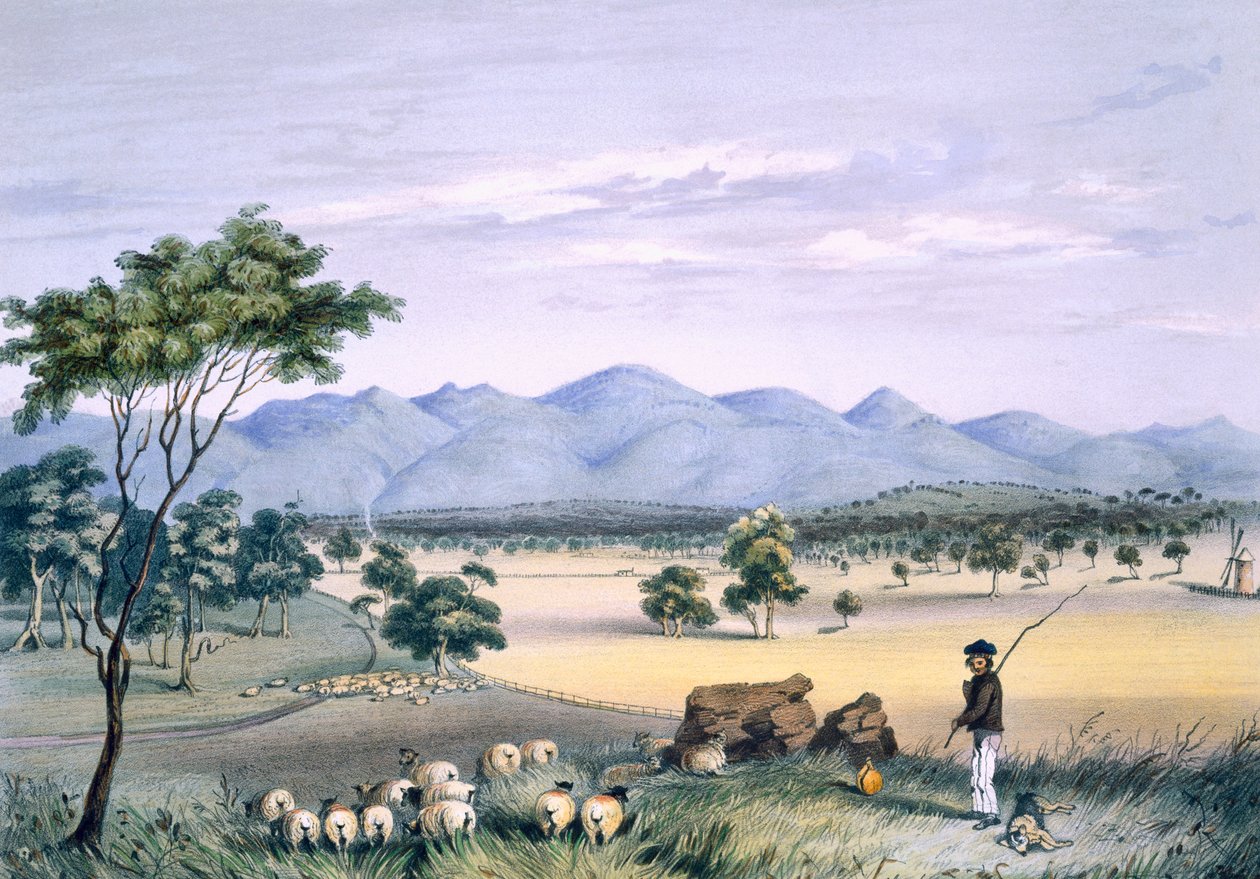 وادي ليندوخ يتطلع إلى نطاق باروسا ، من "جنوب أستراليا المصور" ، نُشر عام 1847 (نقش ملون باليد) بواسطة جورج فرينش انجاس