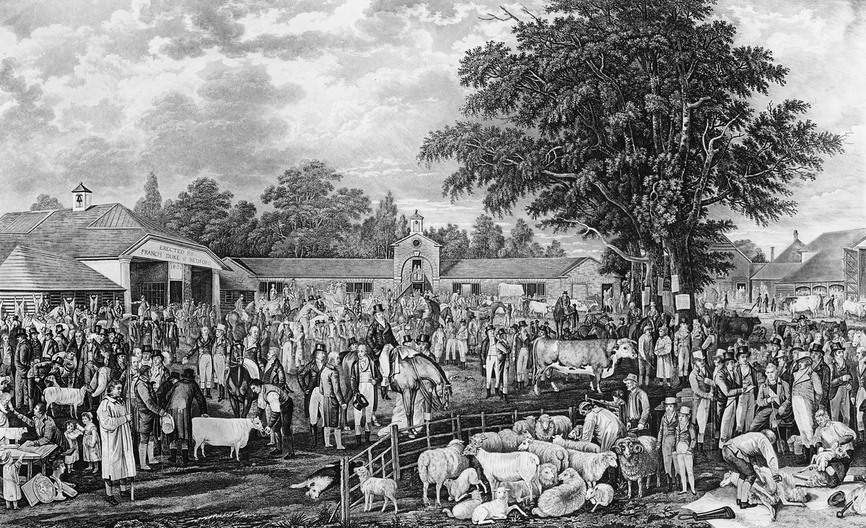 Woburn Sheepshearing ، نقشها توماس موريس ، 1811 بواسطة جورج جارارد