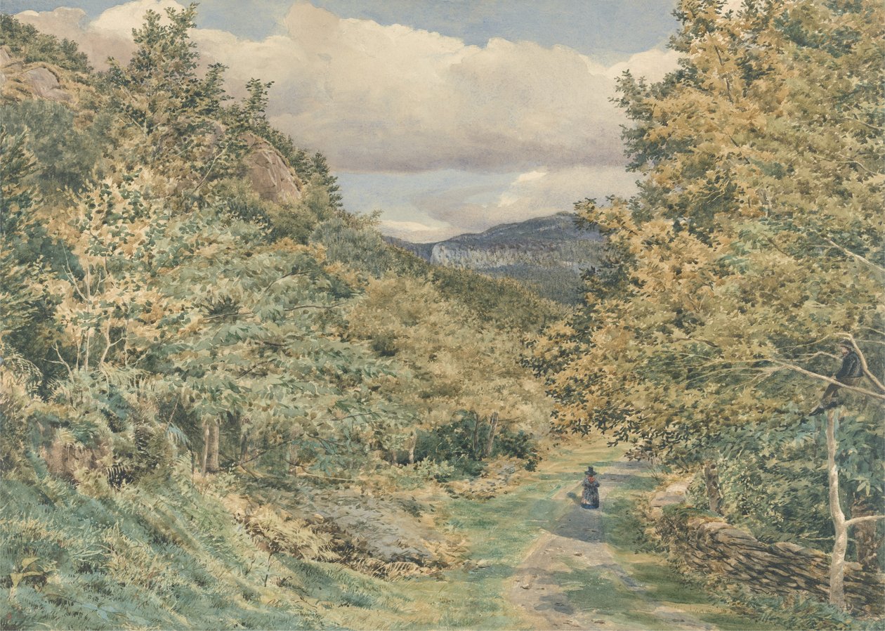 طريق بالقرب من Bettws-y-Coed ، 1851 (مرحاض فوق الجرافيت على الورق) بواسطة جورج برايس بويس