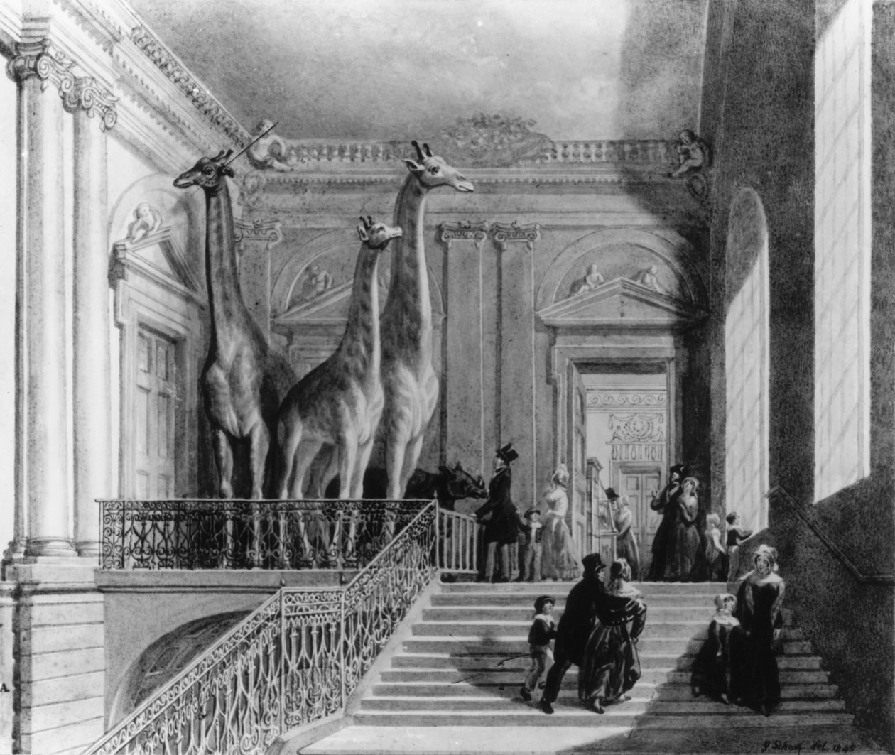 الزرافات على الدرج في المتحف البريطاني ، 1845 (قلم وحبر ومرحاض على ورق) بواسطة جورج سنر شارب