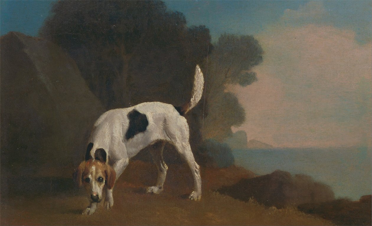 Foxhound بواسطة جورج ستابس