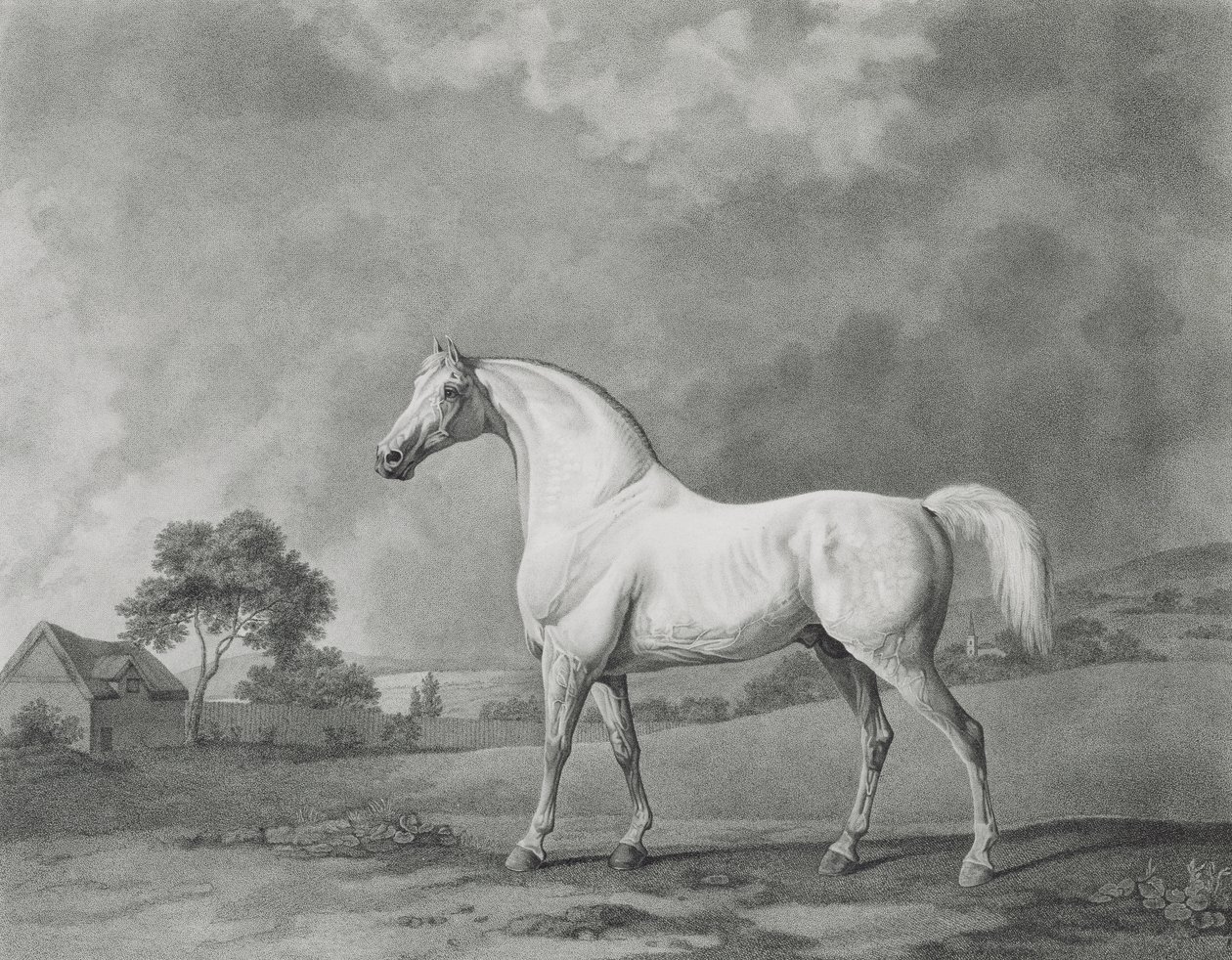 مامبرينو ، نقش بواسطة حانة جورج تاونلي ستابس (1756-1815). 1794 بواسطة جورج ستابس