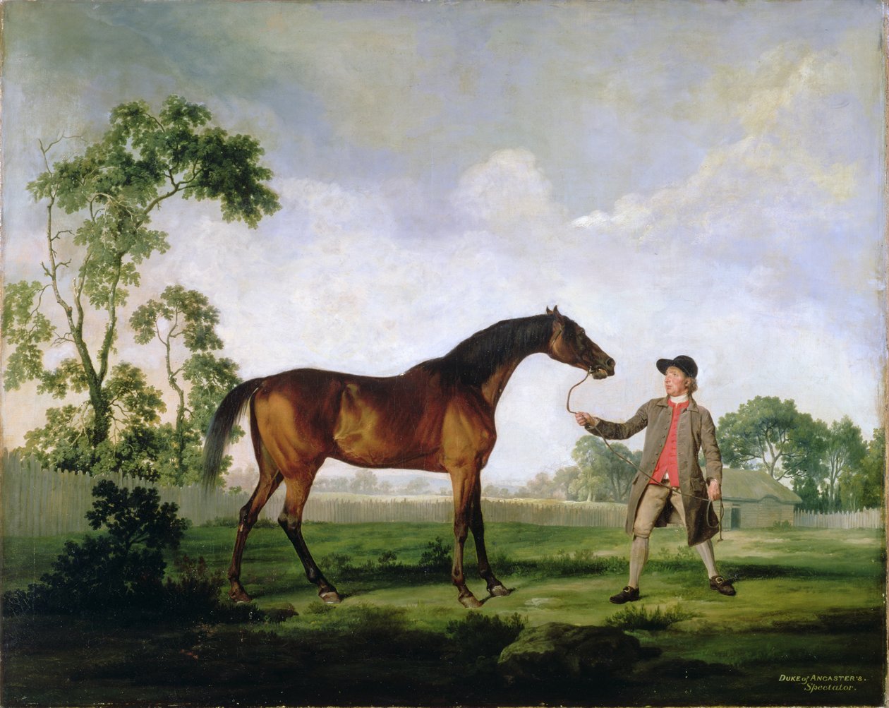 دوق أنكاستر متفرج خليج الفحل ، الذي عقده العريس ، c.1762-5 بواسطة جورج ستابس