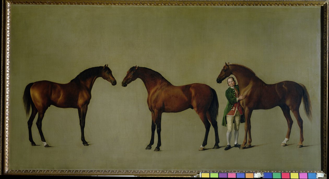 Whistlejacket واثنين من الفحول الآخرين مع سيمون كوب ، العريس ، 1762 بواسطة جورج ستابس