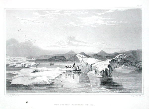 الدلفين المحشور بالجليد ، من "قصة رحلة إلى شواطئ البحر القطبي في السنوات 1819-22" للسير جون فرانكلين (1786-1847) نقش بواسطة إدوارد فيندن (1791-1857) نُشر في 1823-1828 (ملون نقش) بواسطة جورج (بعد) العودة