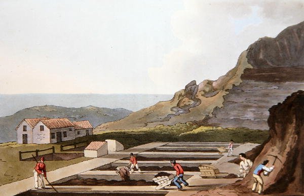 أعمال الشب ، من "زي يوركشاير" نقش بواسطة روبرت هافيل (1769-1832) 1814 (ليثو ملون) بواسطة جورج (بعد) ووكر