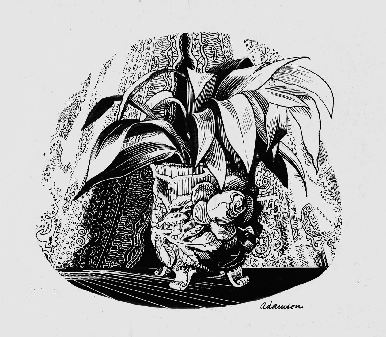Aspidistra في وعاء ، 1950s (حبر هندي على scraperboard) بواسطة جورج آدمسون