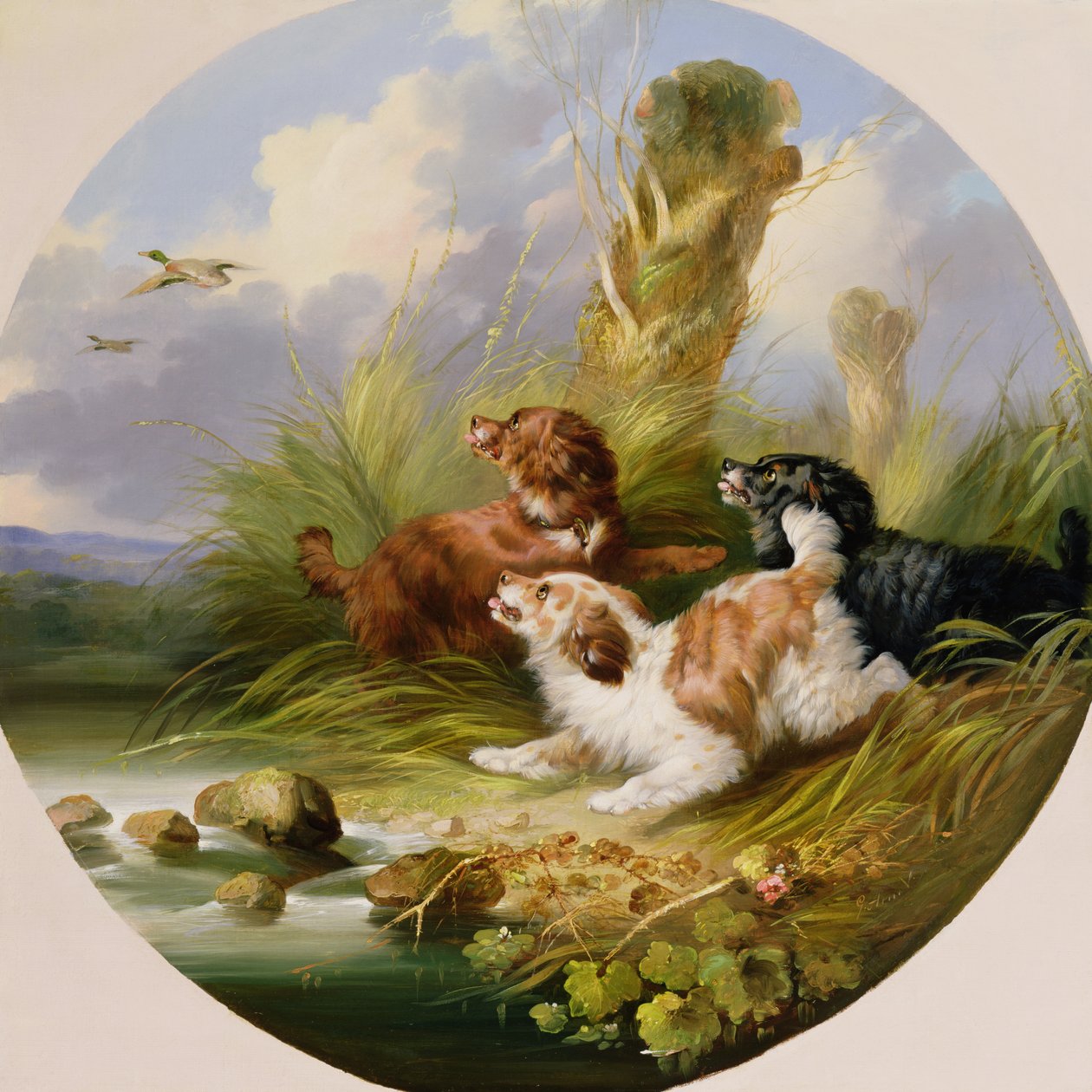 Three Spaniels Flushing Mallard (oil on canvas) بواسطة جورج أرمفيلد