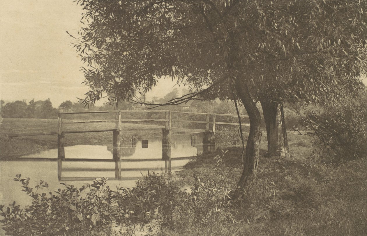 في Sow بالقرب من Walton's House في Shallowford ، 1880 ، طبع عام 1888. ، 1880 ، طبع 1888. بواسطة جورج بانكارت