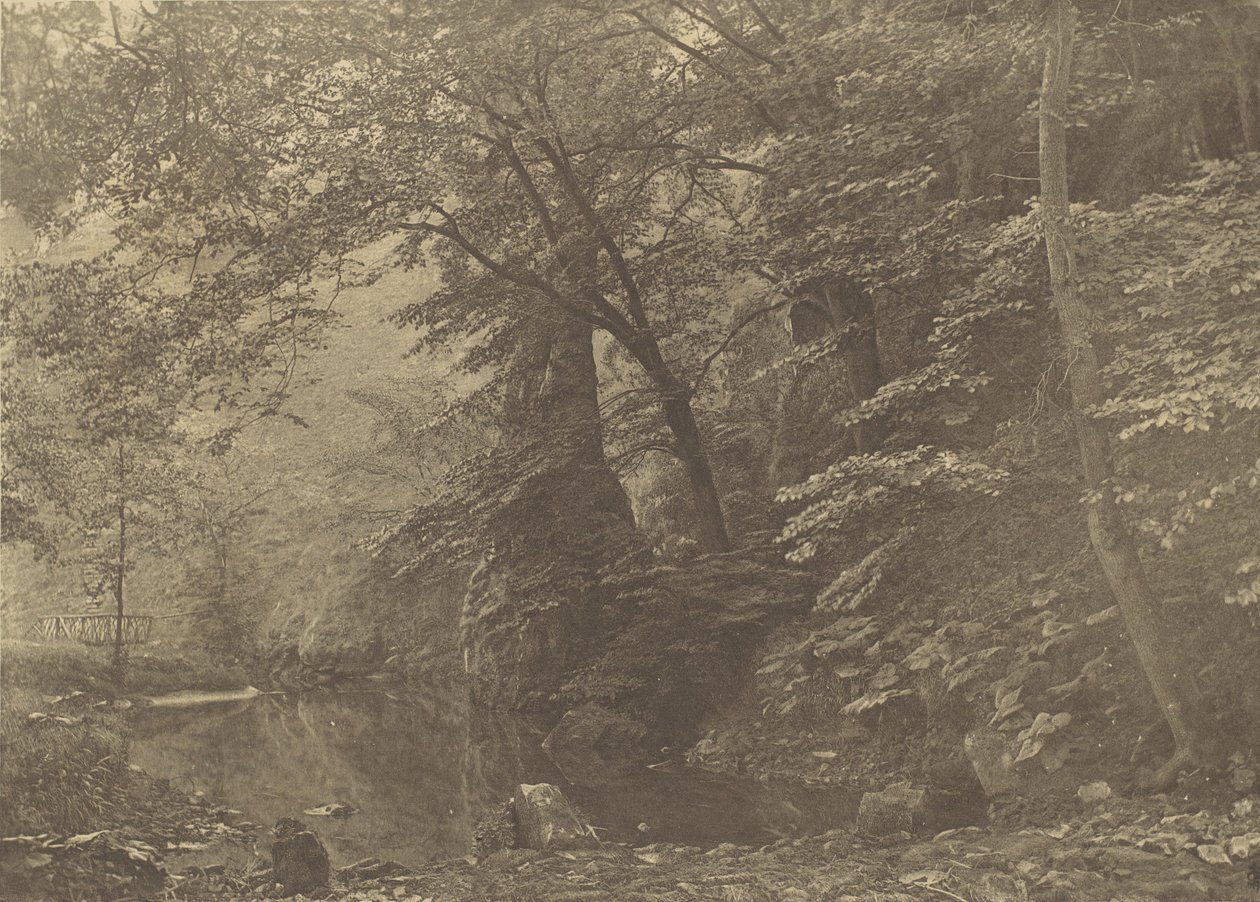 بايك بول ، 1880s ، طُبع عام 1888. بواسطة جورج بانكارت
