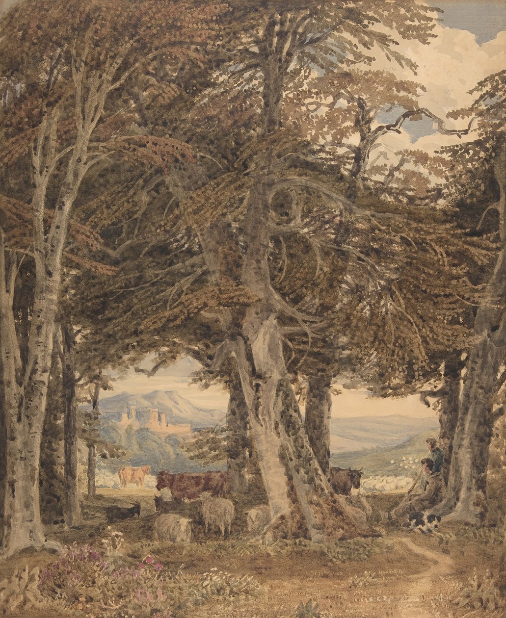 الماشية والأغنام على حافة الغابة ، كاليفورنيا. 1840. بواسطة جورج باريت الاصغر
