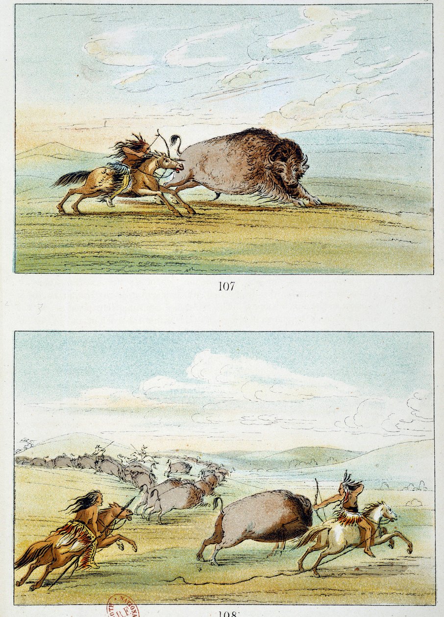 الهنود الأمريكيون: البيسون هانت. رسم جورج كاتلين (1794-1872) بواسطة جورج كاتلين