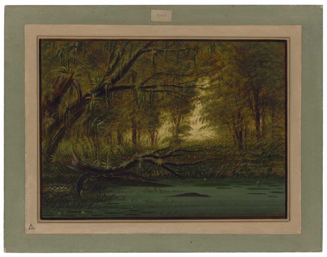  بواسطة جورج كاتلين