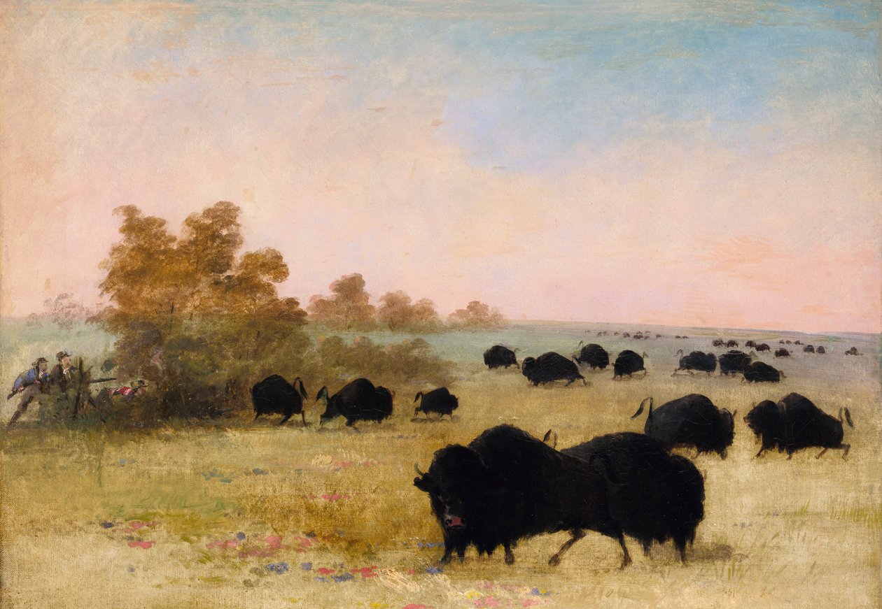 كاتلين و Party Stalking Buffalo ، أعالي ميسوري ، 1846-1848. بواسطة جورج كاتلين