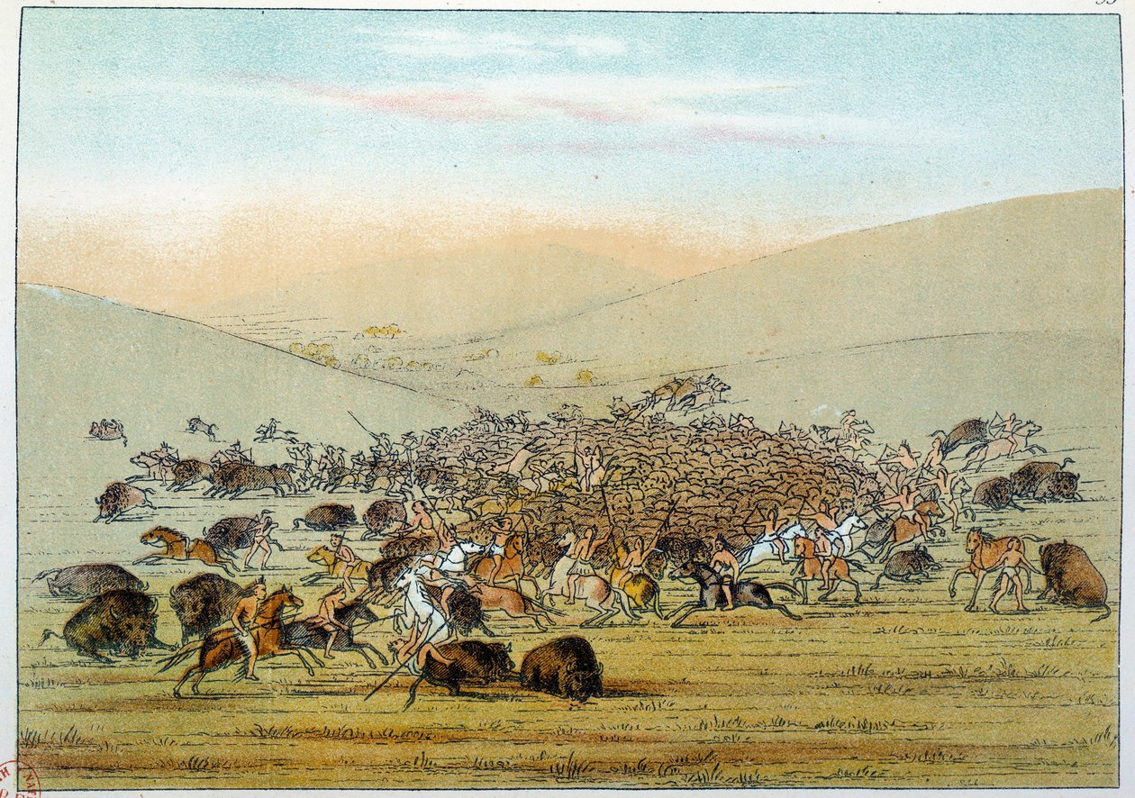 هنود أمريكا: الهنود المصغرون الهنود يصطادون الجاموس بالحراب. رسم جورج كاتلين (1794-1872) بواسطة جورج كاتلين