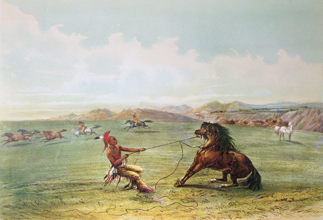 Osage hunters catching wild horses (colour litho) بواسطة جورج كاتلين