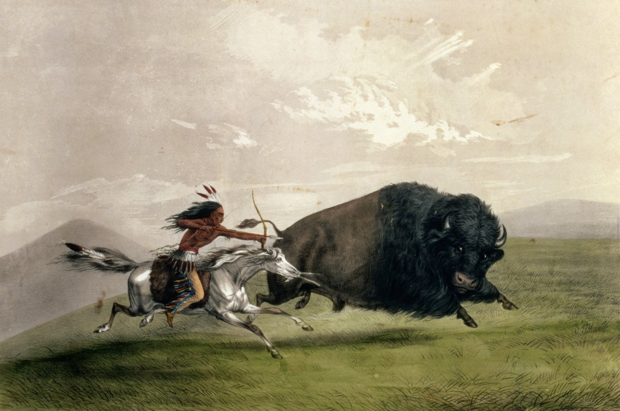 ذا بوفالو تشيس "Singling Out" ، حانة. بواسطة Currier و Ives بواسطة جورج كاتلين