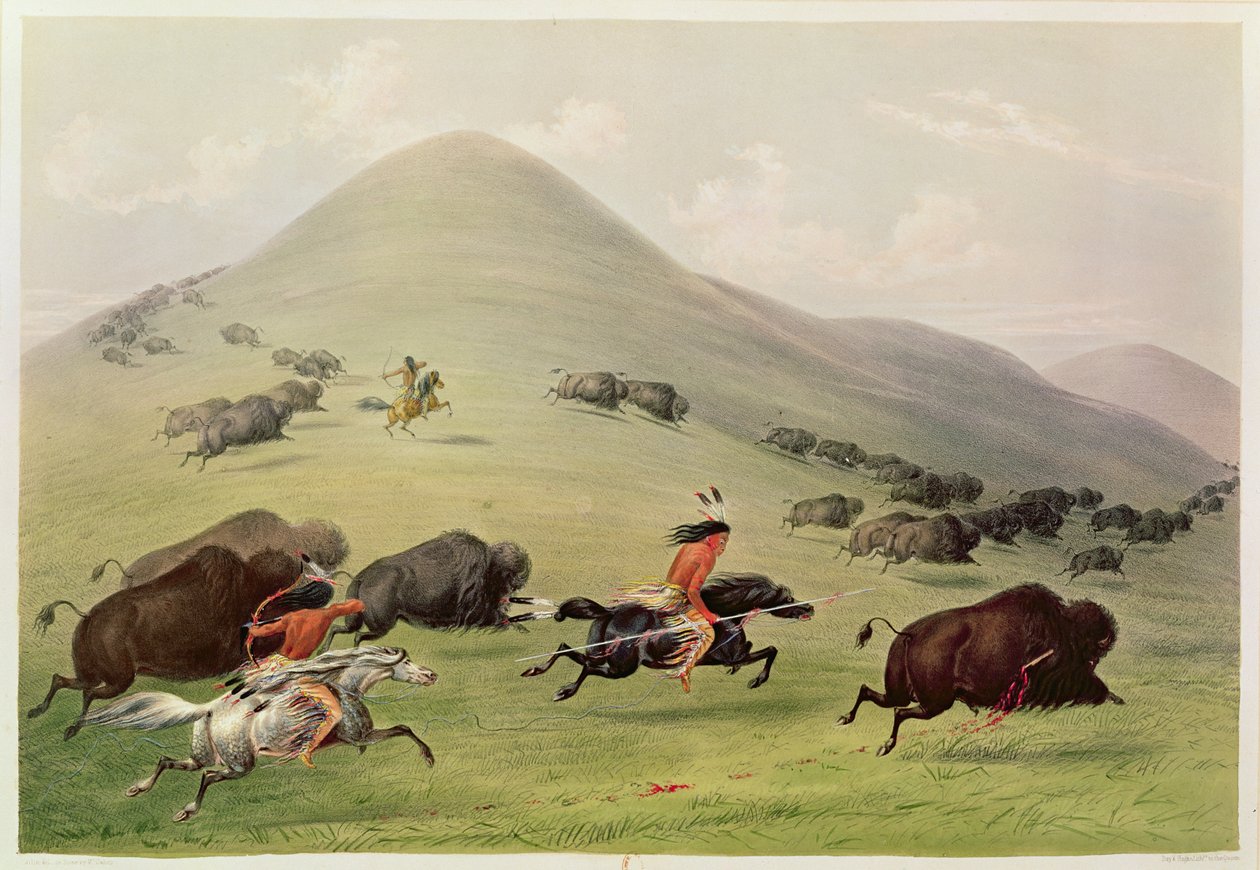 The Buffalo Hunt ، c.1832 بواسطة جورج كاتلين