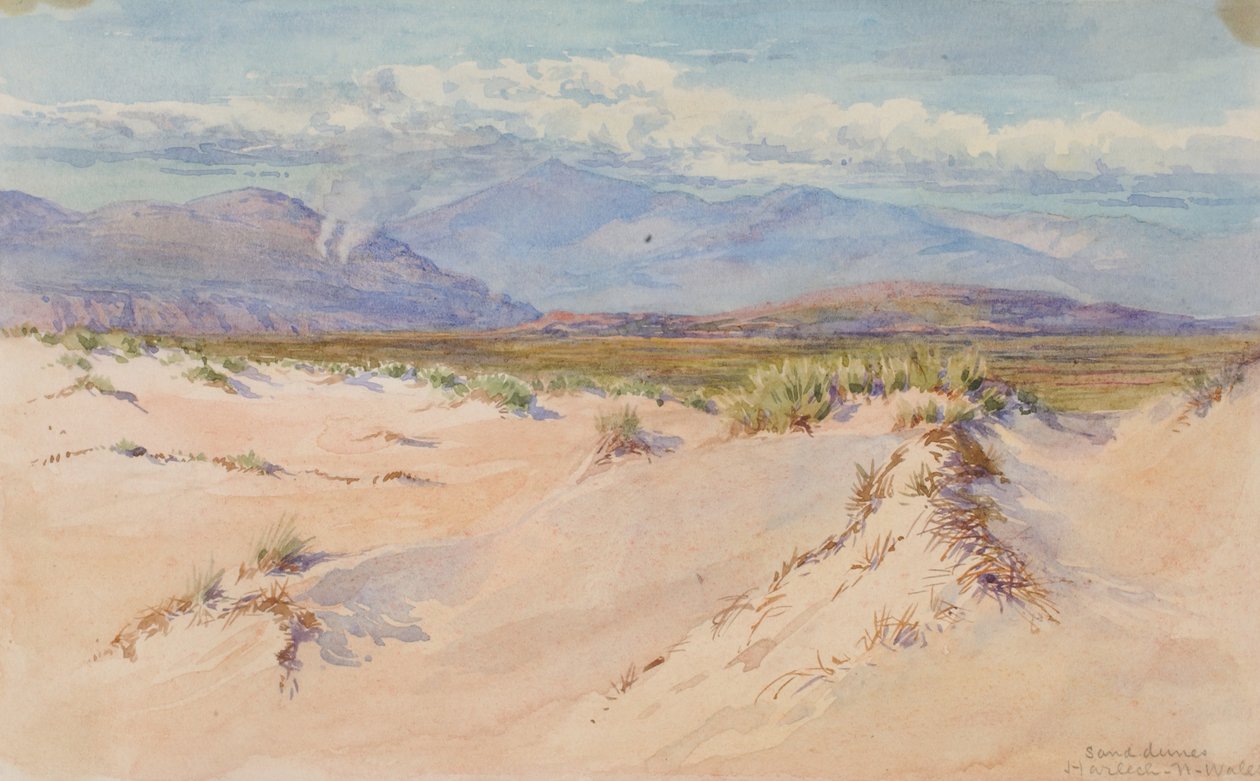 الكثبان الرملية ، Harlech ، شمال ويلز ، 1899. بواسطة جورج إلبرت بور
