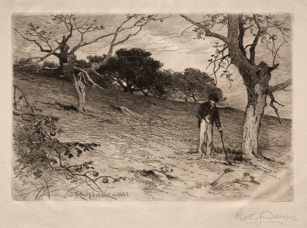 قديم إنكلترا أوركارد ، 1883. بواسطة جورج هنري سميلي