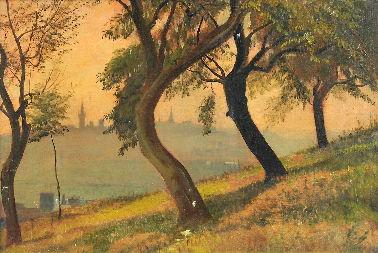 فريدبرغ في هيسن من Johannisberg Nauheim ، 1903 بواسطة جورج هوارد