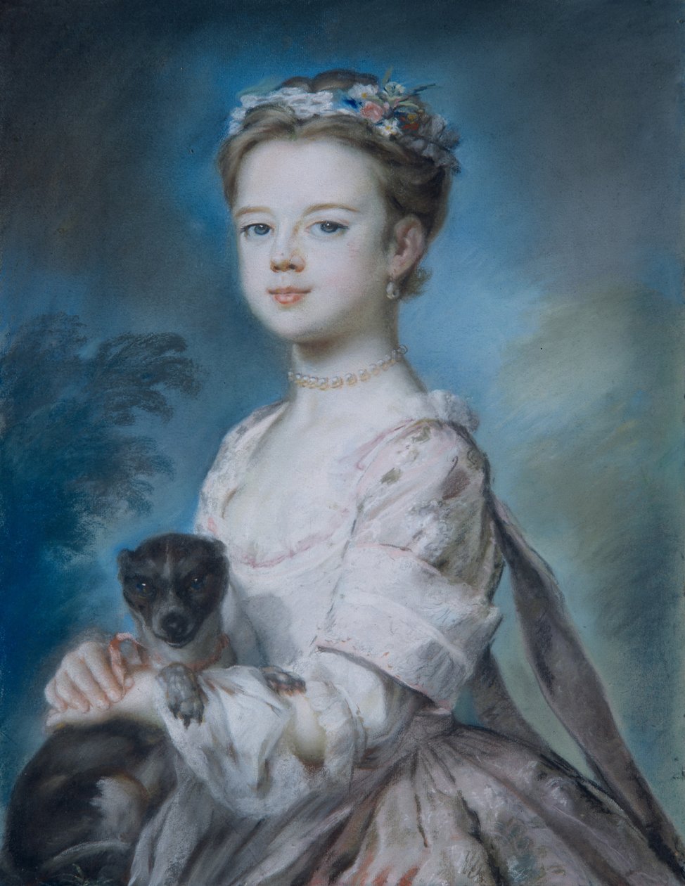 Portrait of Lady Charlotte Boyle (pastel on paper) بواسطة جورج نابتون