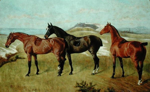 ثلاثة خيول: Whissendine و Swallow و Tiptop بواسطة جورج بايس
