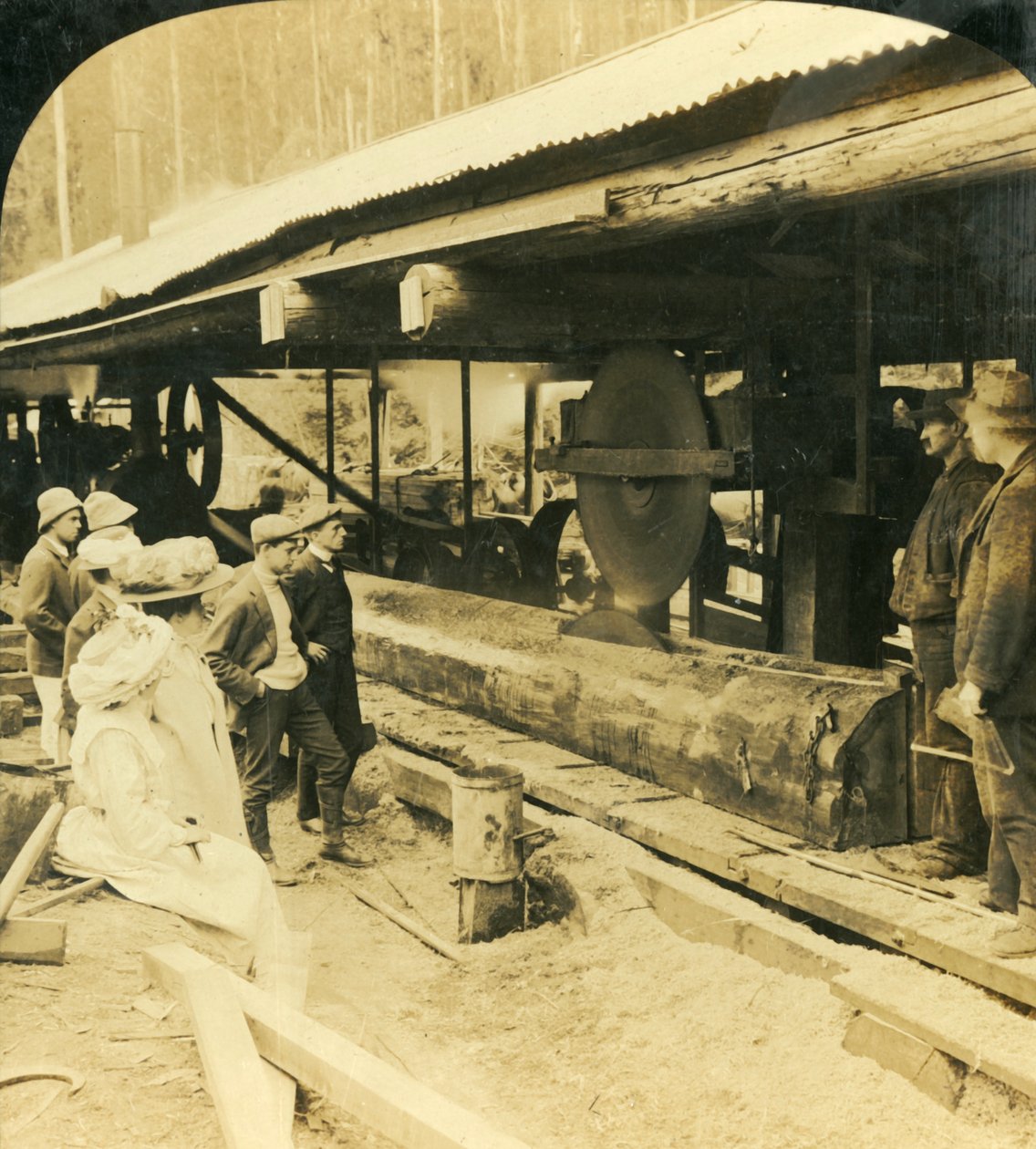 صناعة الأخشاب ، واربرتون ، فيكتوريا ، أستراليا ، 1909. بواسطة جورج روز