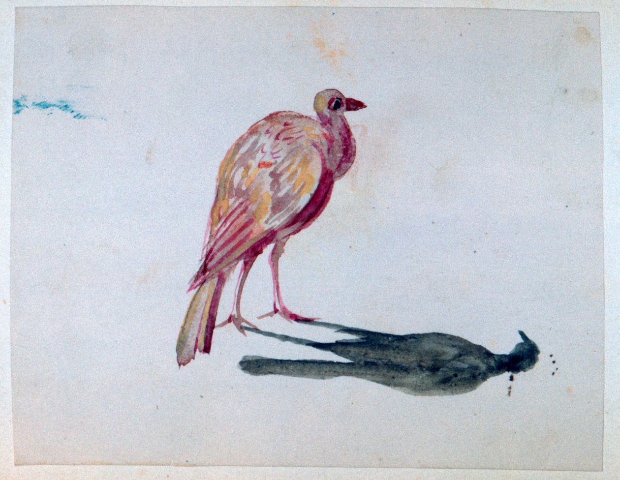 طائر ، 1820-1876 بواسطة جورج ساند