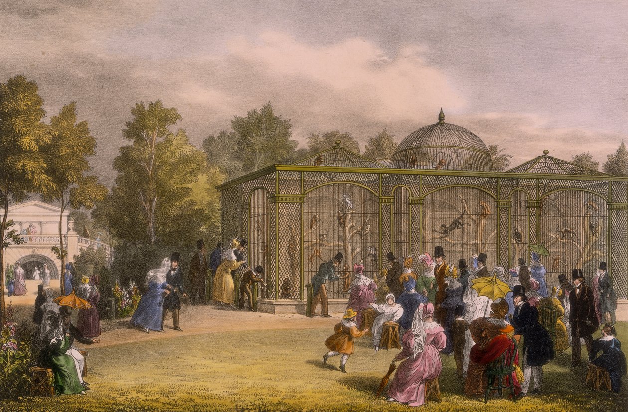 The Monkey House at the Zoological Gardens ، ريجنت بارك ، لندن ، 1835. بواسطة جورج شارف