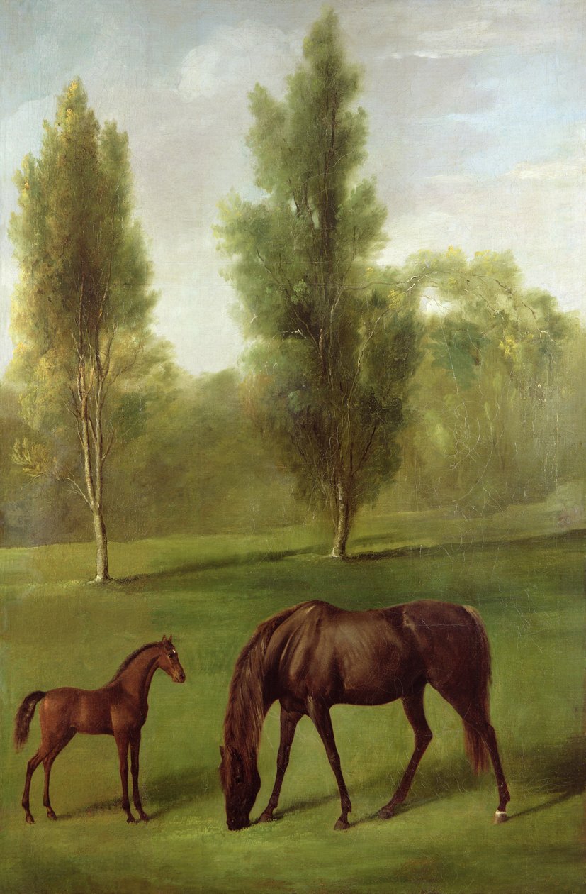 A Chestnut Mare and Foal in a Wooded Landscape, c.1761-63 (oil on canvas) بواسطة جورج ستابس