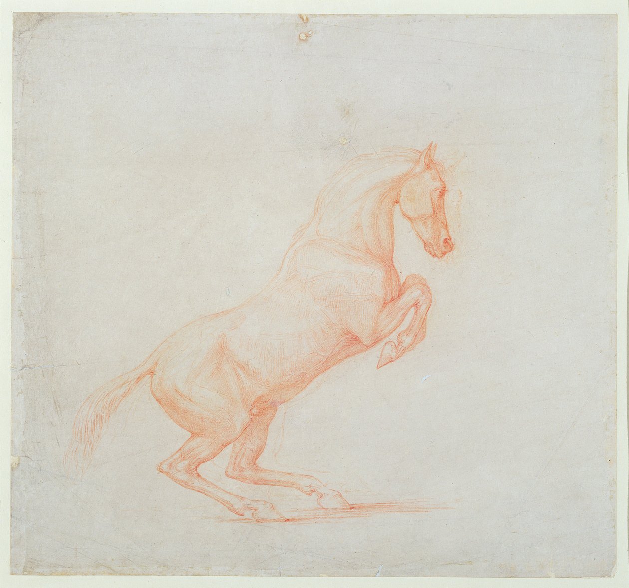 حصان يقفز ، يواجه لليمين ، 1790 (طباشير أحمر على ورق) بواسطة جورج ستابس