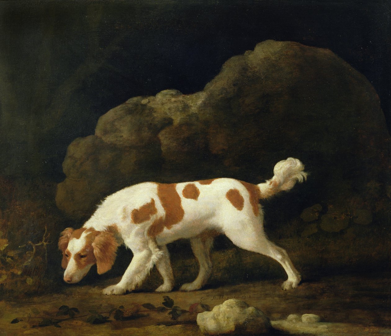 A Spaniel (oil on canvas) (for pair see 266116) بواسطة جورج ستابس