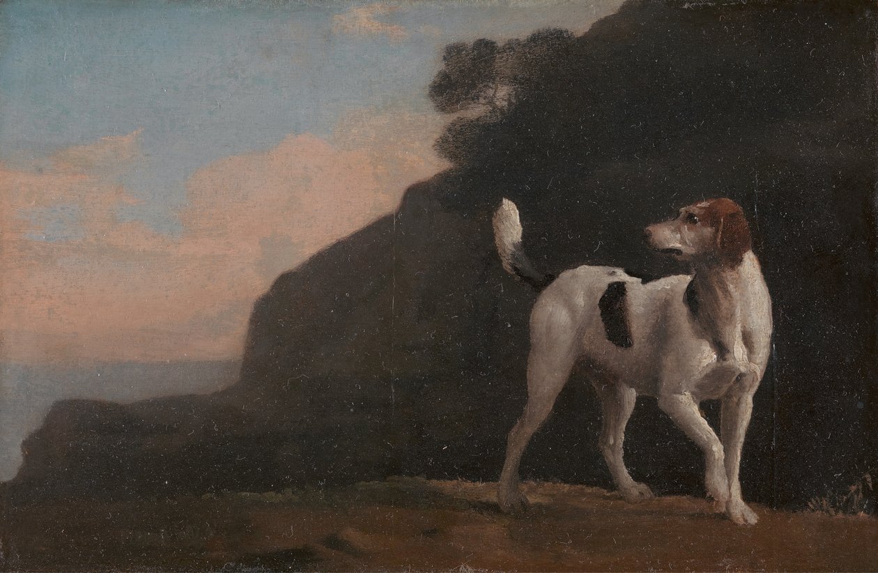 Foxhound ، A Foxhound ، كاليفورنيا. 1760. بواسطة جورج ستابس