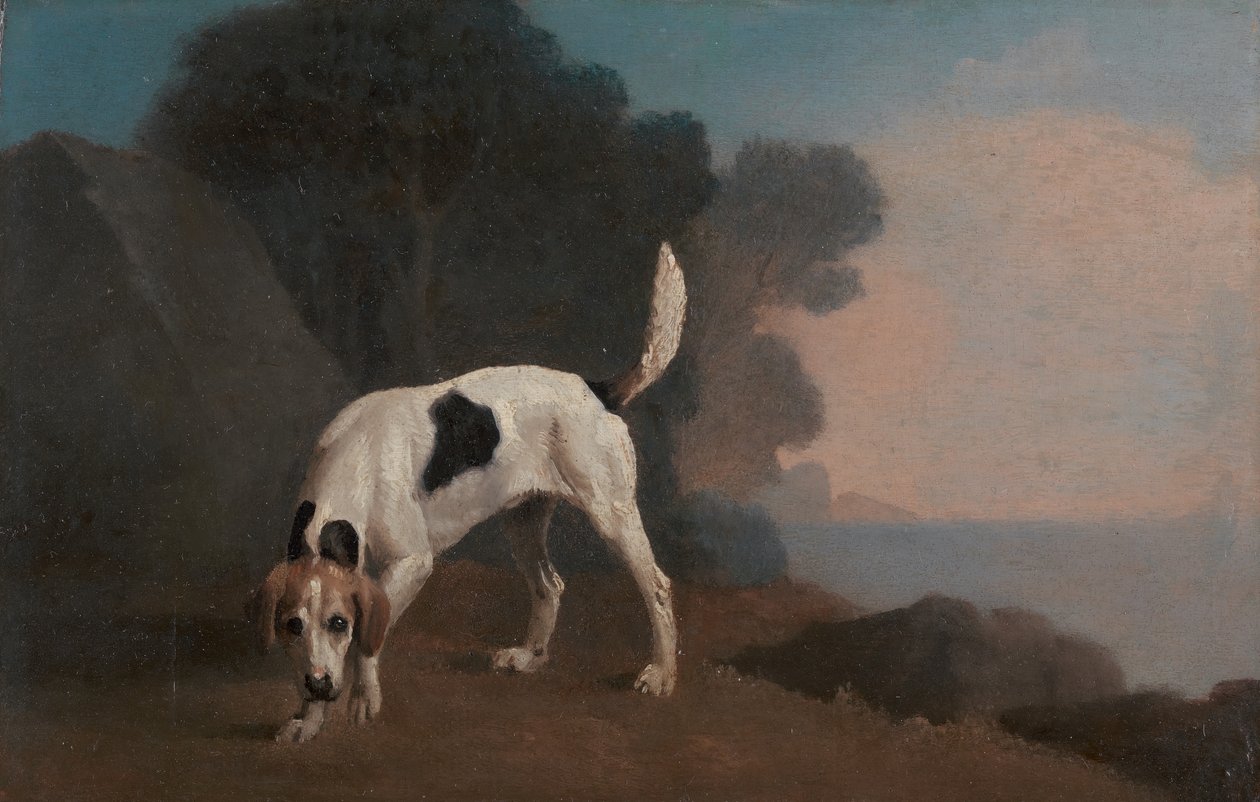 Foxhound ، Foxhound on the Scent ، كاليفورنيا. 1760. بواسطة جورج ستابس