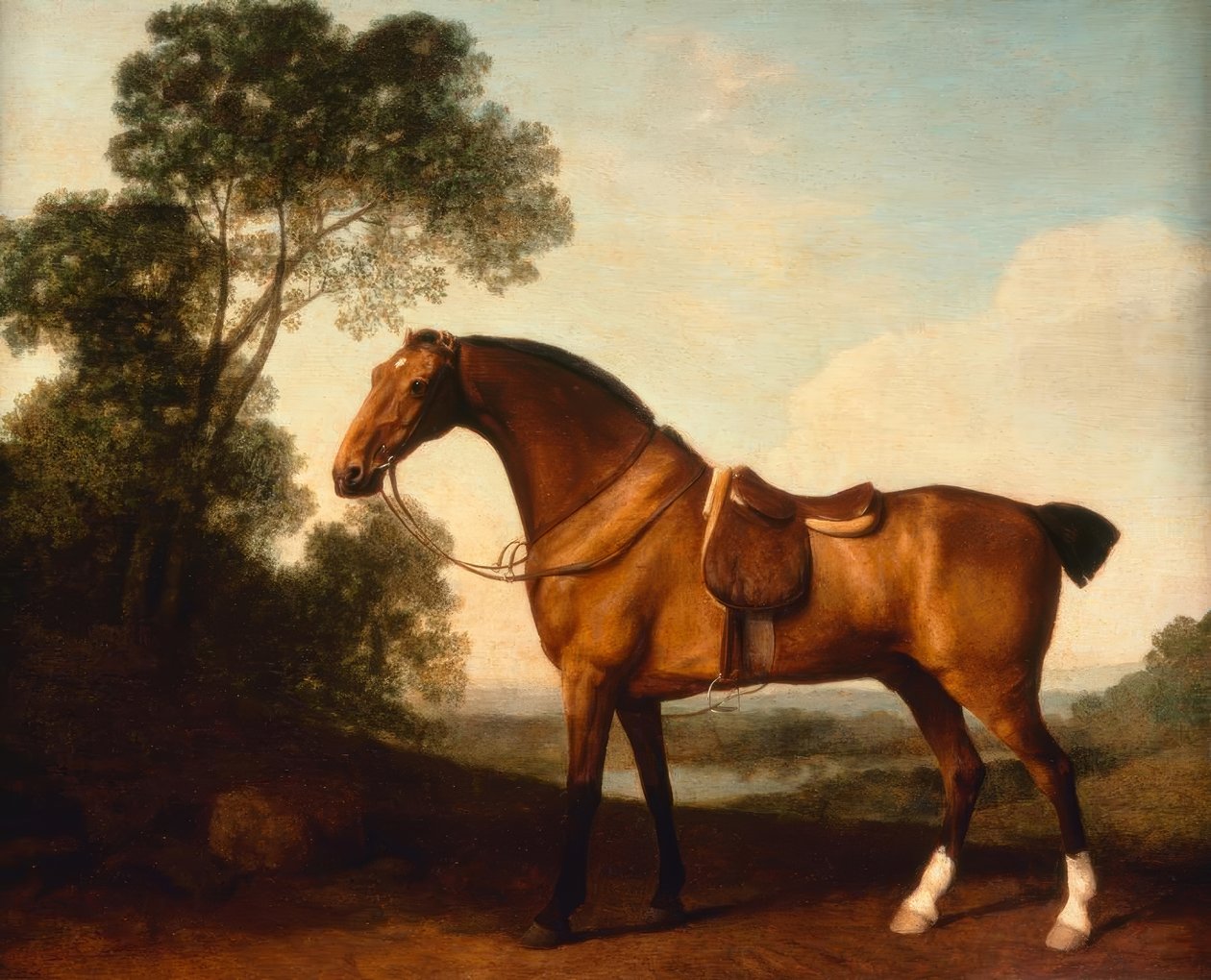 G.Stubbs ، صياد خليج سرج بواسطة جورج ستابس