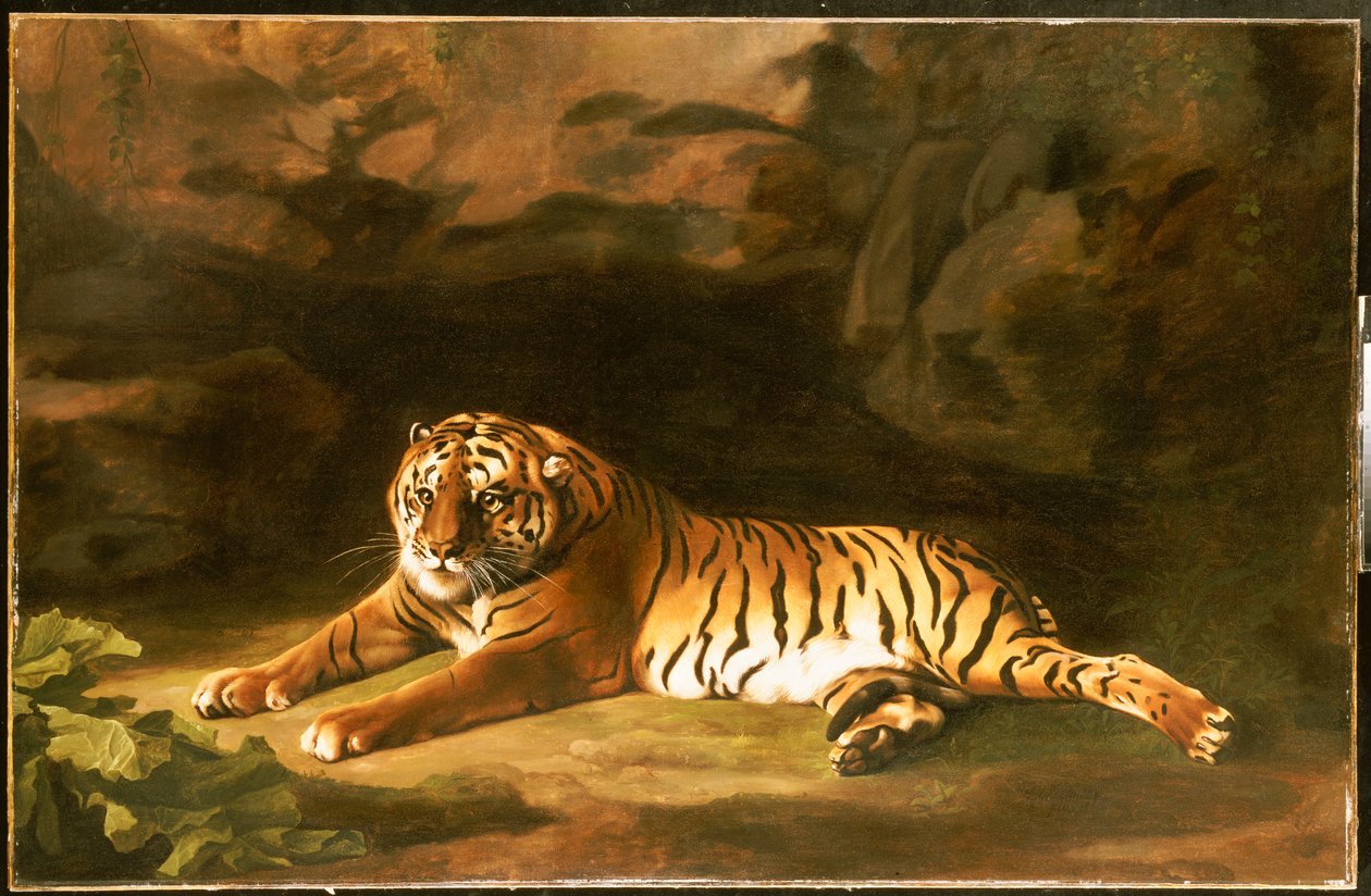 صورة النمر الملكي ، 1770 ج بواسطة جورج ستابس