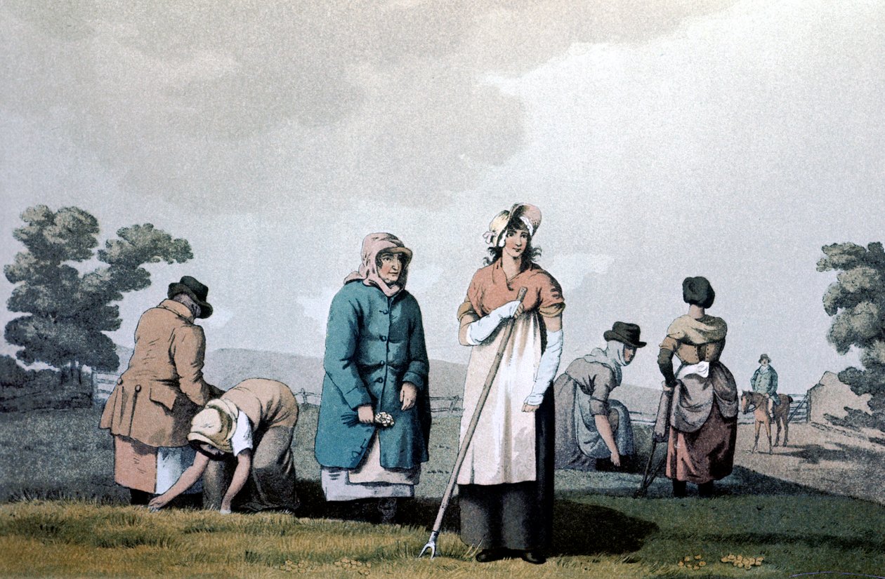 Lowkers - النساء اللواتي يزيلن الأعشاب الضارة ، 1814 بواسطة جورج ووكر من Seacroft