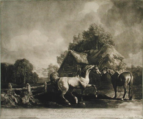 الفحل والماري ، منقوش بواسطة جورج تاونلي ستابس (1756-1815) 1776 (الميزوتينت) بواسطة جورج بعد ستابس