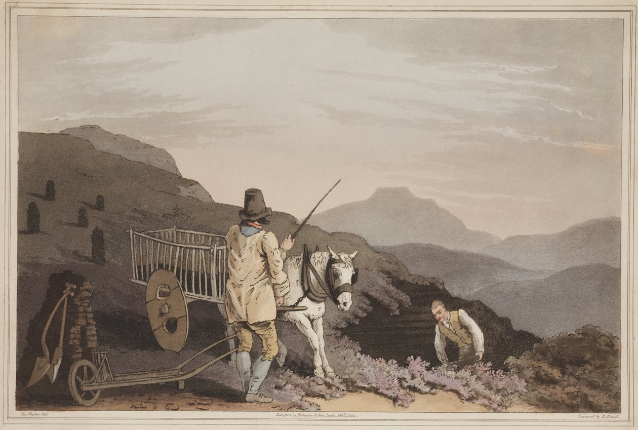 عربة الخث ، من زي يوركشاير ، نقشها روبرت هافيل ، 1814 (ألوان مائية يدوية) بواسطة جورج بعد ووكر