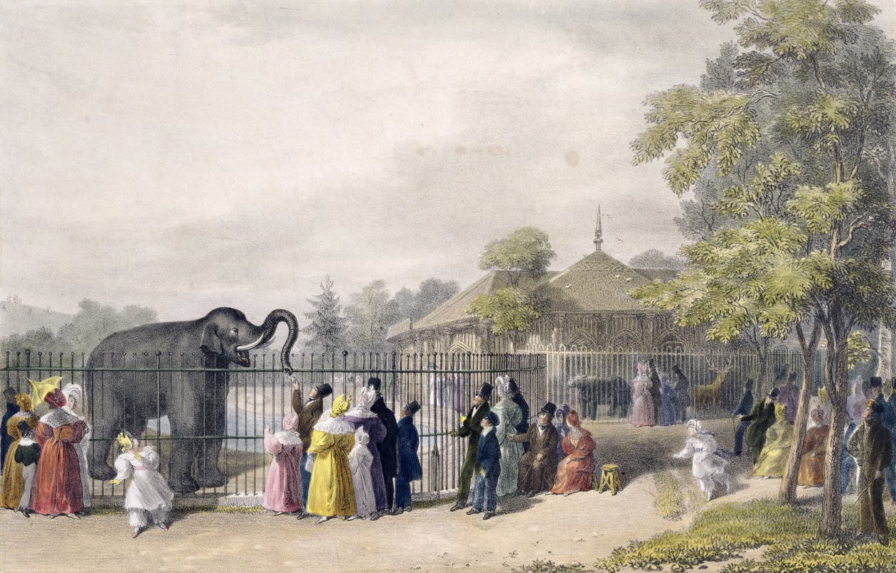 بيت الفيل في حدائق الحيوان ، ريجنت بارك ، محفور وحانة. للفنان ، طبعها تشارلز هولمانديل (1789-1850) ، 1835 بواسطة جورج الأكبر شارب