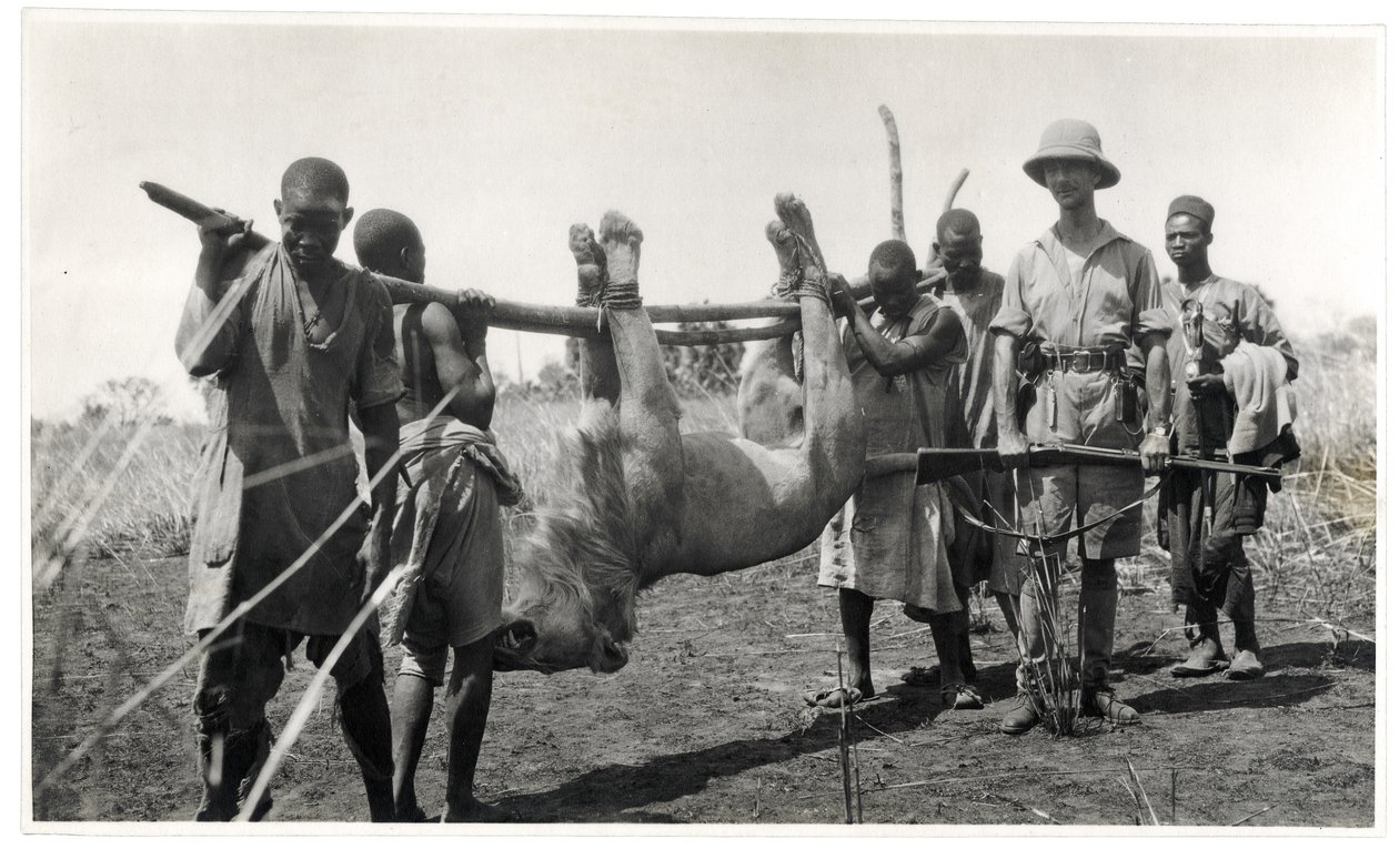 أسد في بحر الغزال ، أم دفوق ، 1925 (طباعة الجيلاتين الفضي) بواسطة جورج ماري هاردت