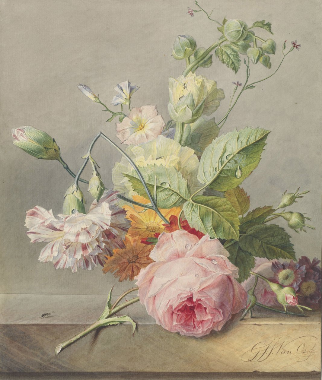 الأزهار الحياة الساكنة ، c.1800-25 (مرحاض وقلم رصاص على ورق) بواسطة جورجيوس جاكوبوس يوهانس فان أوس