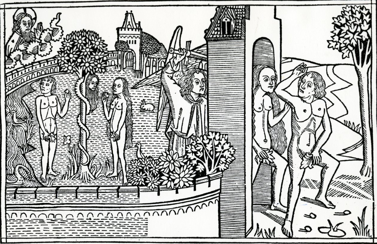 سقوط الإنسان ، رسم توضيحي من كتاب كوينتل للكتاب المقدس ، نُشر عام 1478 بواسطة المدرسة الألمانية