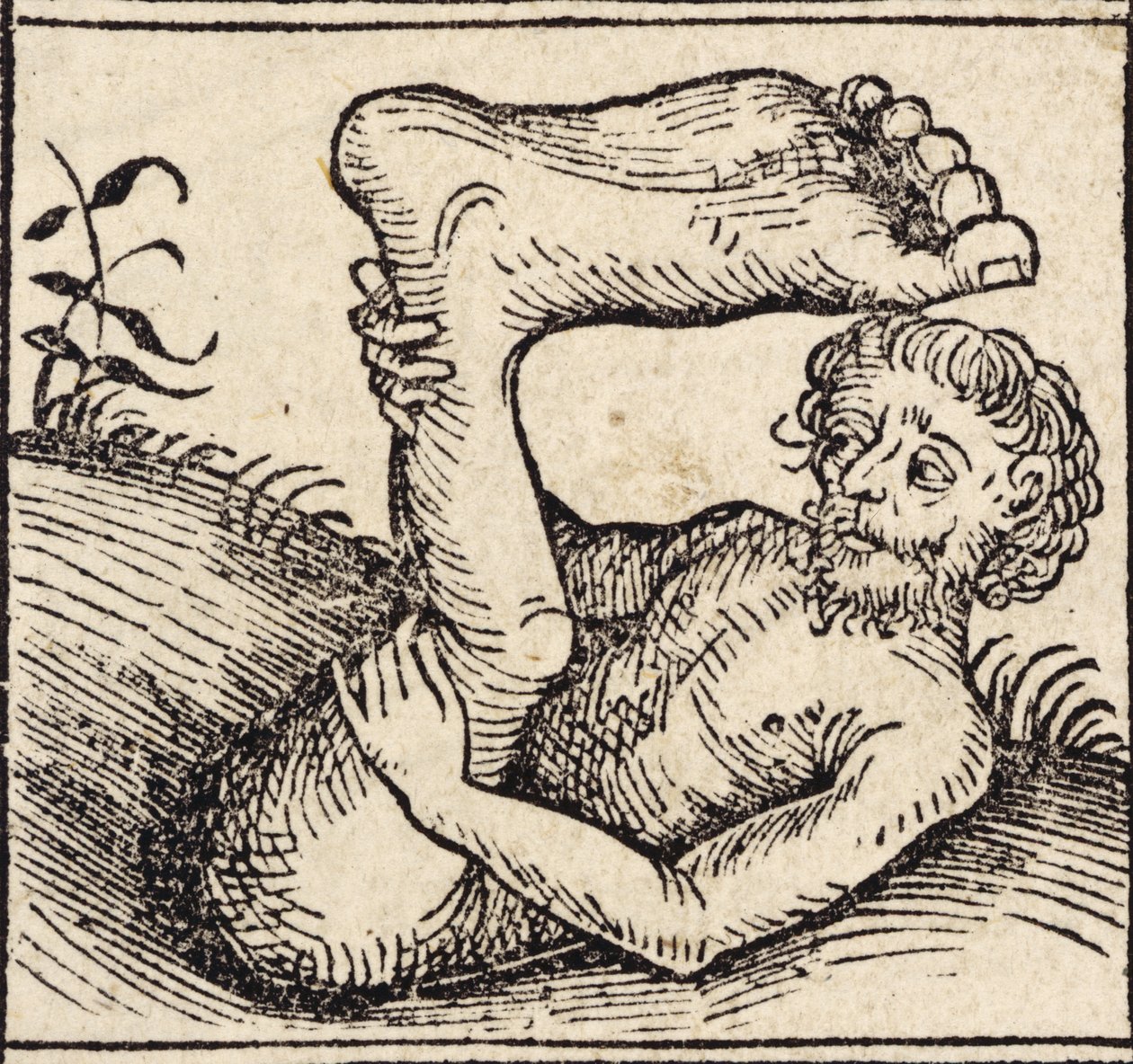 sciopod ، رجل ذو قدم منتفخة ، من `` Registrum Hujus Operis Libri Cronicarum cum Figuri et Imagibus ab Inicio Mundi 