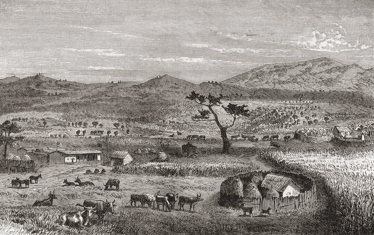 مستوطنة في كويهارا ، غرب أفريقيا ، رسم توضيحي من "العالم في الأيادي" ، نُشر عام 1878 بواسطة المدرسة الألمانية